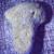 Dinosaur bone 9 thumbnail