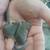 Micro Squirrels (African Pygmy Dormouse) 2 thumbnail