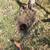 Sprinkler repair, installation,landscaping,lawn maintenance 21 thumbnail