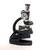Group of Whimsical Victorian Mad Scientist Halloween Decorations 6 thumbnail