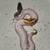 Piebald ball python 2 thumbnail