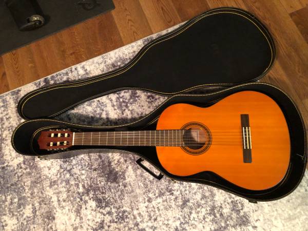 Acoustic Guitar 1
