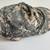 Army camouflage clothing 8 thumbnail