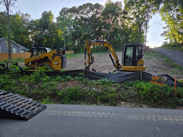 Brushhog/mulching, landclearing 1