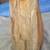 Petrified Wood 2 thumbnail