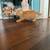Working Cats 4 thumbnail