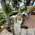 Home for sale 16 thumbnail
