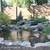 Koi Ponds, Waterfalls, Fountains, Turf, Pavers, Landscape 8 thumbnail