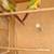 Pineapple conure (proven pair with DNA) 1 thumbnail
