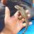 Blue Tegu - Possible Het Albino 1 thumbnail