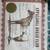 Registered Appy Mare 7 thumbnail