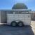 2021 Calico 3 Horse BP Horse Trailer 2 thumbnail