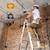HBTower 4‐Step A‐Frame Telescoping Extension Ladder – 14 FT Multi 5 thumbnail