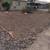 Yard cleaning, Weed Removal, General Yard Work, Roof Coating 11 thumbnail