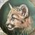 Cougar Cub Plate by Princeton Gallery Cubs Of The Big Cats Plate Colle 1 thumbnail
