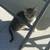 Kittens 2 thumbnail