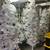 White Christmas trees multiple sizes in bulk only no splitting 1 thumbnail