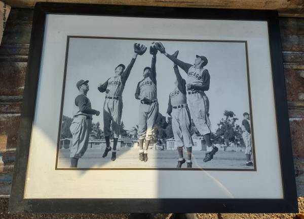 Chicago Cubs Baseball Picture Framed and Matted 28x23 1