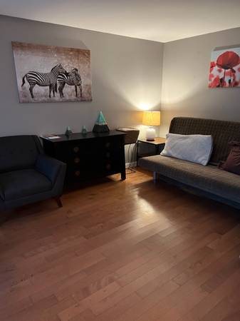 $50 / 1br - Spacious room in condo across SCH (Bryant)63934416136067120