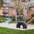 Chic 1 BR-Bright Spaces, Pool, Pet Park & Prime Location 3 thumbnail