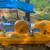 Pedal Boat 4-Person 1 thumbnail