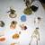 Lots of Beautiful, Fancy Party Halloween and Fall Decorations 2 thumbnail