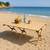 NEW IN BOX Foldable Outdoor Table Picnic Table Camping Table with Carrying Bag 3 thumbnail