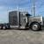 379 Peterbilt 1 thumbnail