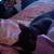 Rehoming cat 9 thumbnail