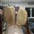 Saddle 10 thumbnail