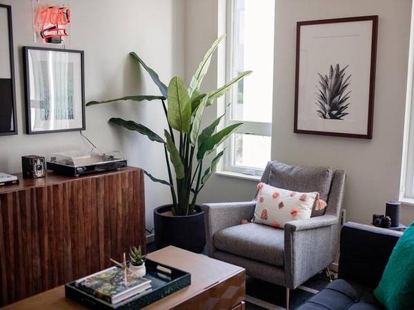 $1,299 / 1br - 448ft2 - Now offering up to 6 weeks free! Schedule a tour now! (Grant Park,Hollywood, NE Portland, Kerns)63831682450177124