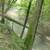 23 acre paradise for sale 3 thumbnail