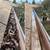 PRESSURE WASHING, SOLAR PANEL CLEANING & ROOF WASHING, WINDOW CLEANING 6 thumbnail