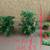 Aquarium filters, decorative items... 9 thumbnail