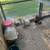 Chickens 5 thumbnail