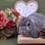 Pedigreed Mini Lop Bunny Rabbits 17 thumbnail