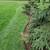 LANDSCAPING TREE REMOVAL FREE ESTIMATES (Waukesha,Pewaukee,delafield 14 thumbnail