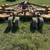 15’ BushWacker Bush Hog 2 thumbnail