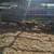 Weaner Pigs 2 thumbnail