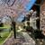 Onsite Laundry Facility, Dog Walk Area, Jog Thru Aspen Highlands Park 11 thumbnail