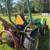 1998 John Deere 855 loader 4 thumbnail