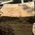 SPALTED MAPLE TURNING BLOCKS 2 thumbnail