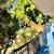 One bedroom One Bathroom Available in the heart of LA!! 23 thumbnail