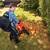 CRAFTSMAN Leaf Blower / Leaf Vacuum & Mulcher, 12-Amp, Corded (CMEBL70 1 thumbnail
