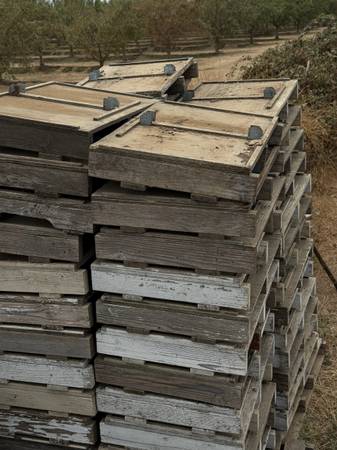 Two way pallets for bees 1