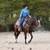 Chasing Daydreams, AQHA/APHA gentle & easy young trail gelding 12 thumbnail