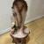 Flower Vase 4 thumbnail