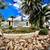 Rare 1 BR for 55+! Steps from Downtown, Gorgeous Pool & Courtyard 6 thumbnail