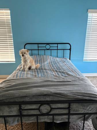 Bed frame-queen 1