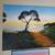 A Lihue, Hawaii sunset. Boxed canvas painting 28x30 1 thumbnail